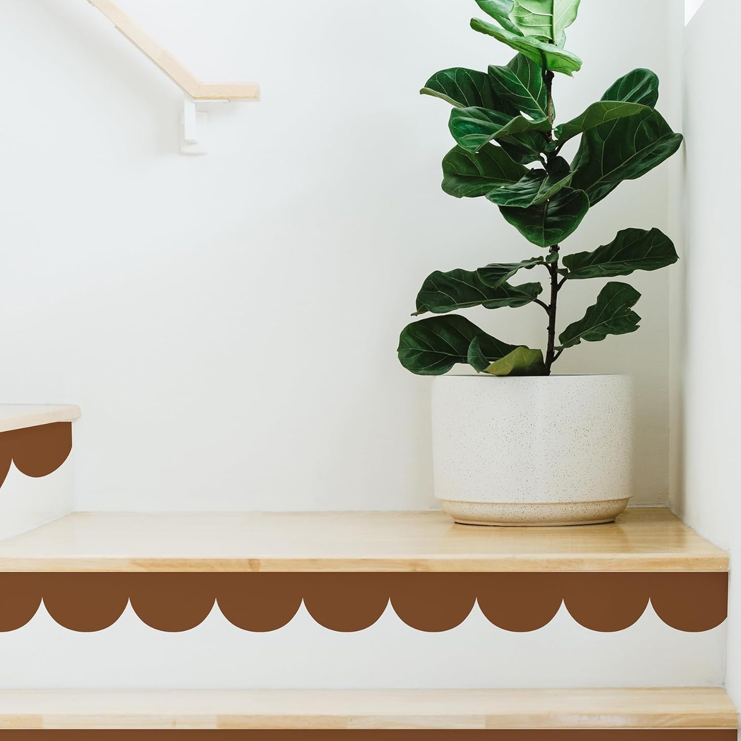 Set (8) Tiras Arqueadas Medianas de 3.6" x 23" c/u, Vinilos Decorativo (1 Color)