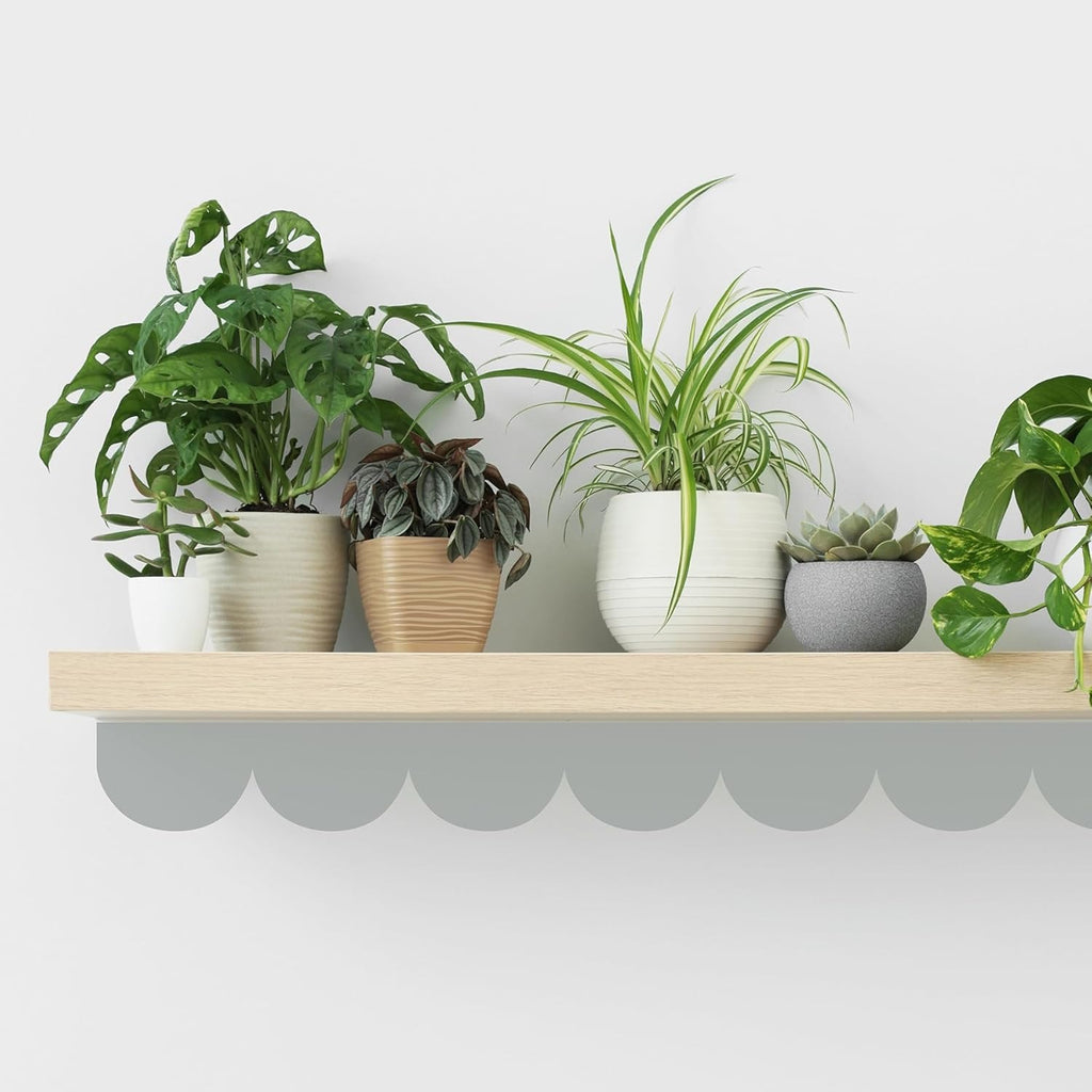 Set (8) Tiras Arqueadas Medianas de 3.6" x 23" c/u, Vinilos Decorativo (1 Color)