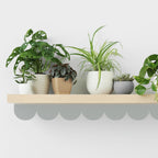 Set (8) Tiras Arqueadas Medianas de 3.6" x 23" c/u, Vinilos Decorativo (1 Color)