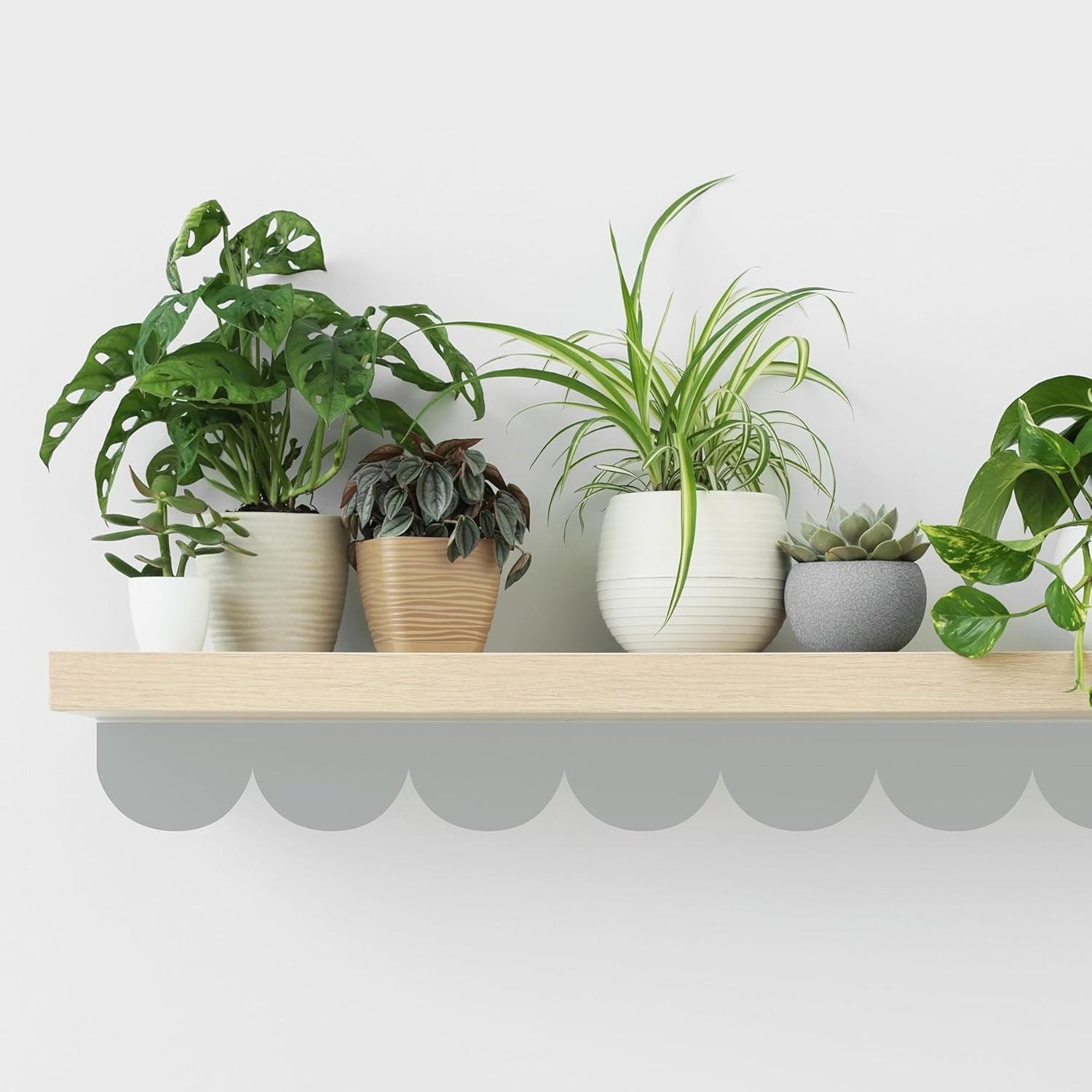 Set (8) Tiras Arqueadas Medianas de 3.6" x 23" c/u, Vinilos Decorativo (1 Color)